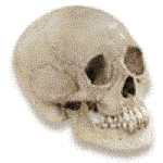 Thumb-skull-35big.GIF