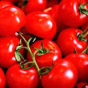 File:TomatoesGross.jpg