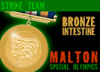 Strike team bronze.jpg