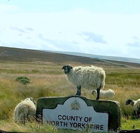 North Yorkshire.jpg