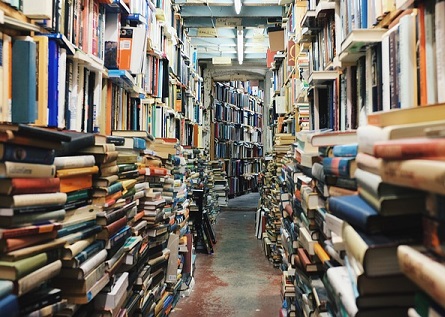 Almost a tunnel of books.jpg