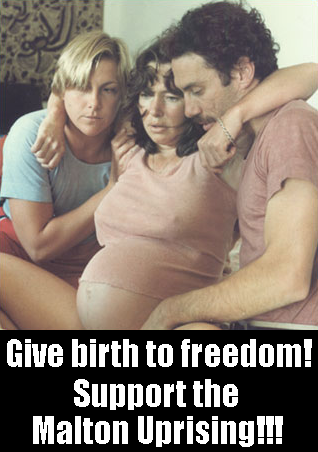 File:Birthtofreedom.PNG
