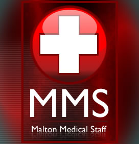 MMS Group Box Logo.jpg