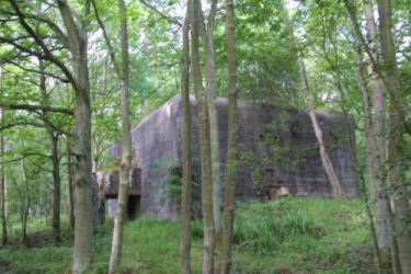 Bunker-cabin.jpg