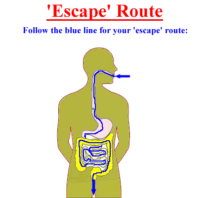 No Escape route.png