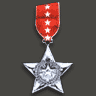 Silver Star.png