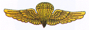 File:Paratrooper.gif