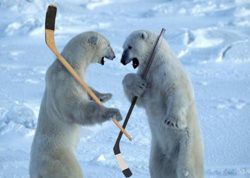 File:Polarbearhockey.jpg
