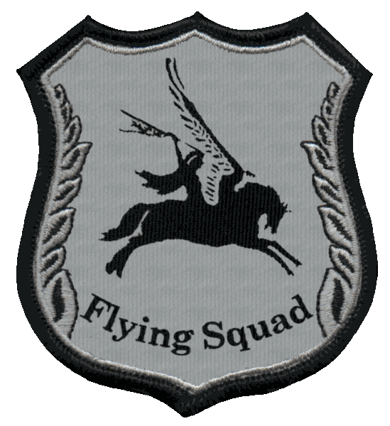 File:FlyingSquad.gif