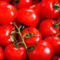 TomatoesGross.jpg