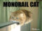 Monorailcat.jpeg