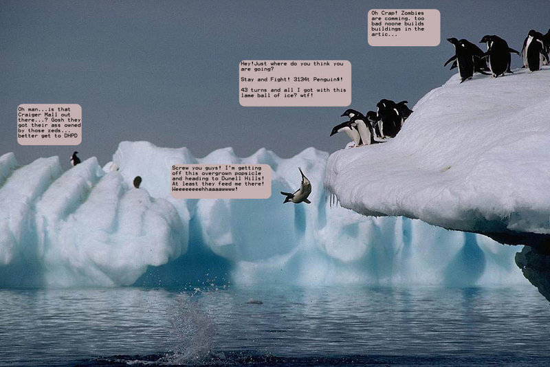 File:Escaped penguin.jpg