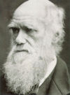 Charles Darwin.jpg