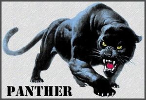 Panther2.jpg