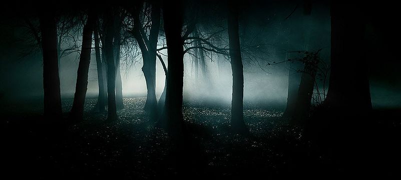 Dark forest.jpg