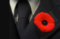 Remembrance Day, Nov. 11th, Lest we forget.png