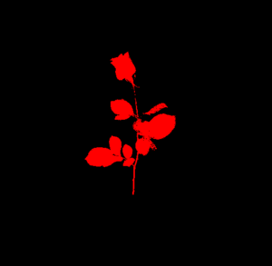 Till Death Logo2.PNG