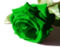 Rose-green.jpg
