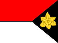 The flag of DARIS