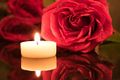 Candle rose.jpg