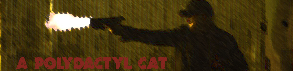 a Polydactyl Cat