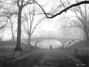 08271gothic-bridge-central-park-new-york-city-posters.jpg