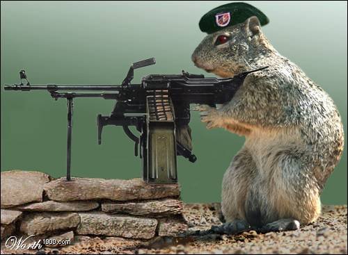 File:Hamster gun.jpg