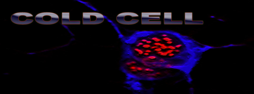 Cold Cell Banner5.jpg