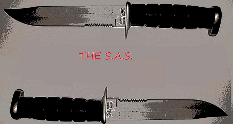 THE S.A.S..png