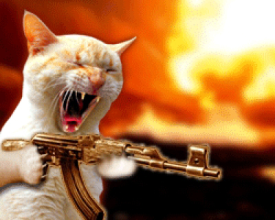 Cat machine gun.jpg