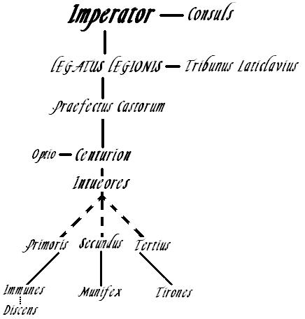 IRA Layout.JPG