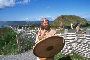 Viking2.jpg