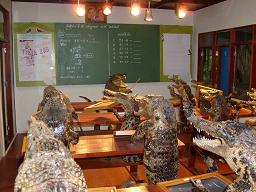 The Crocodile Institute of Crocodileness.jpg