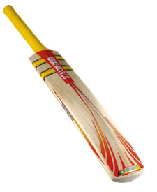 Cricket Bat.jpg