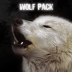 Wolf-Pack.gif