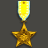 Gold Star.png