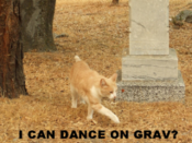 Gravedance.png
