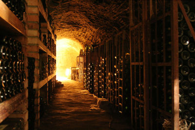 Winecave.jpg