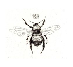 Queen-bee-deborah-wetschensky.jpg