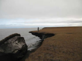 A shoreline showing severe coastal erosion. It's figurative, you see.