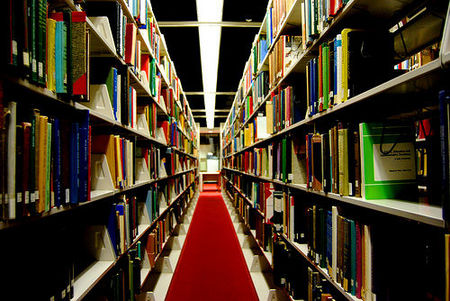 Library shelves.jpg