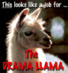 Drama Llama.jpg